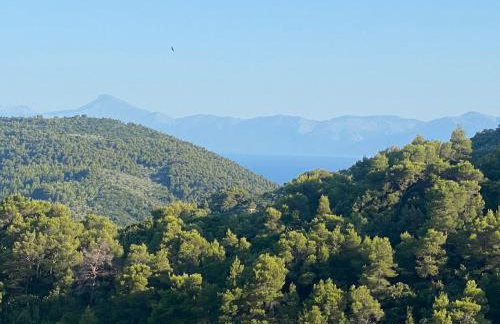 Laas Daskios, Stone Country House, Skopelos Anania - Foto 14