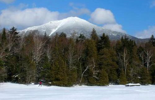 Rustic Cabin Getaway Overlooking a Stunning Golf Course in Saranac Lake, New York - Foto 5