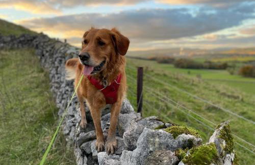 Muddy Paws Cottages - The Nook - Photo 12