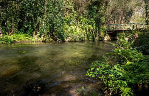 Quinta de Mourães Casa dos Rododendros - Foto 32
