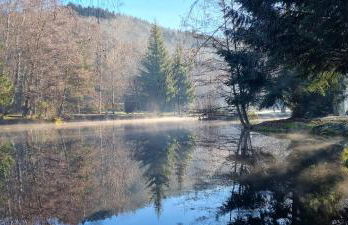 Insolite Tiny House Sérénité Bien Être - Foto 55