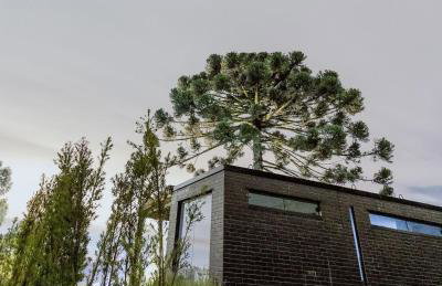 Reserva Cabanas - Foto 72