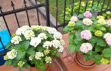 Studio appartman Iva - Photo 11