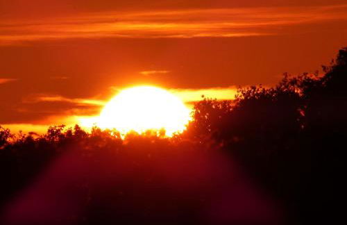 Zum Froschteich - Foto 8