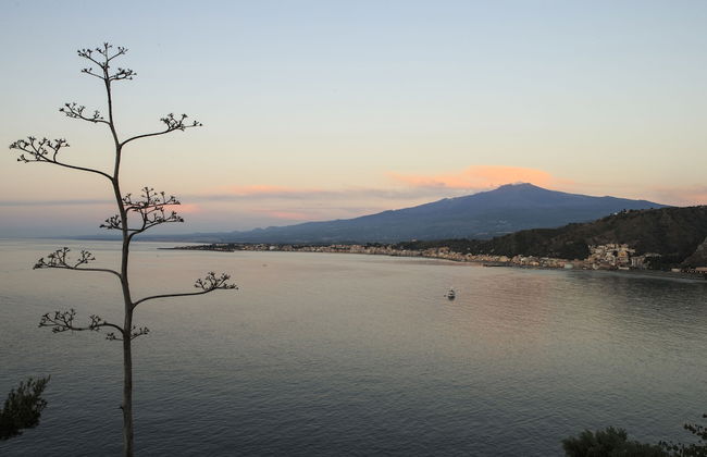 Villa degli Ulivi - Photo 57