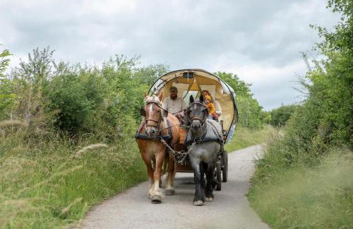 Nengshof Ferienhaus Glockenblume - Foto 20