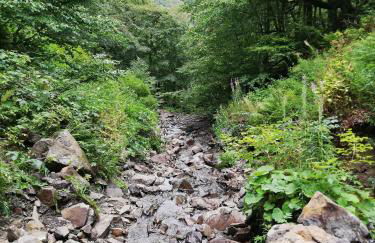 L'auvergnate - Foto 21