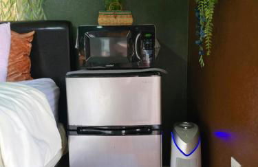 Jungle Oasis By Busch Gardens USF and Amphitheater - Foto 11