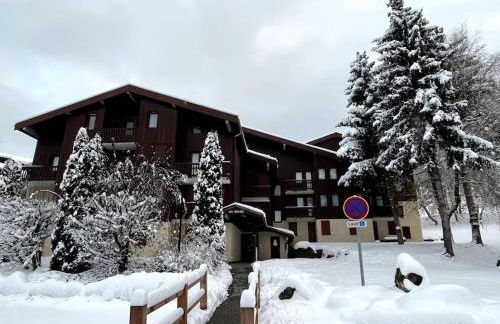 Superb studio Terrace Ski in Montchavin - Foto 16