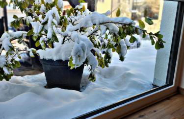 Lions Place Premium Apartments COMFORT optionaler Zugang zum SPA- Bereich - Foto 16