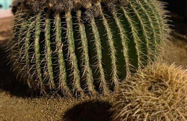 Casa Alfonso Terraza y piscina - Foto 58