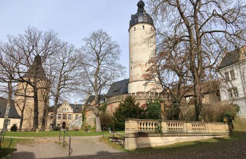 Altstadtblick Altenburg - Foto 49