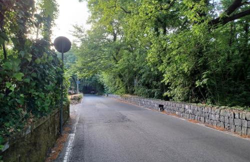 Aetna Silva - Photo 35