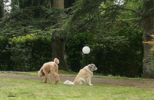 Open Space nel Parco con parcheggio gratuito - Foto 38