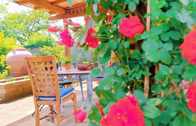 Agriturismo I Casamenti - Photo 36