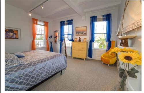 PETIT BOUT DE FRANCE - Photo 8