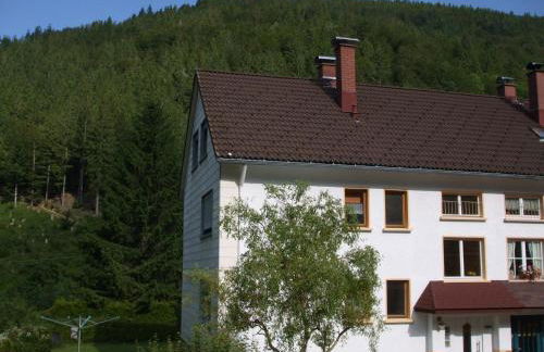 Haus Post EG-Wohnung - Foto 1