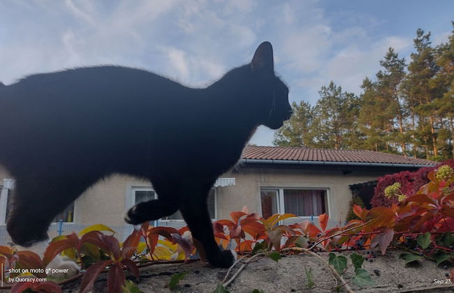 Agroletnica Country house - Foto 37