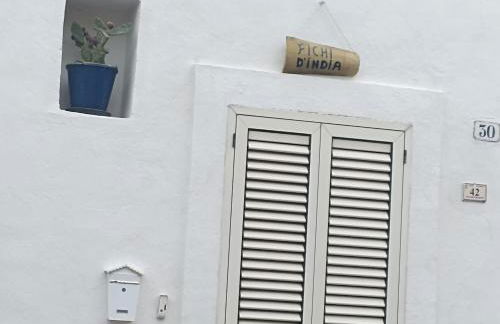 Fichi d india - Foto 2