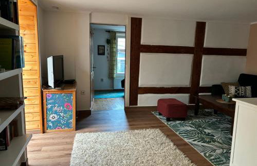 Altstadt & See & Garten Haustiere willkommen - Foto 23