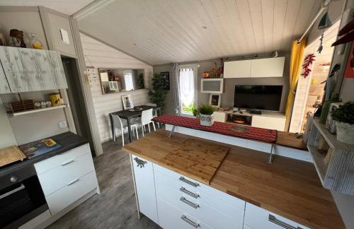 Maison VIEUX BOUCAU - MESSANGES - Photo 12