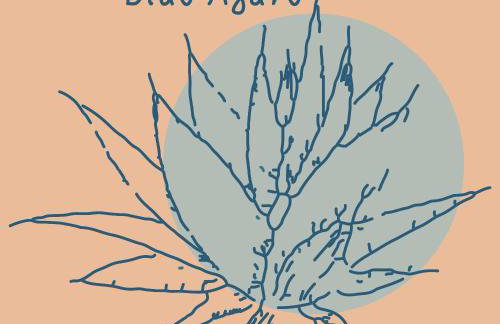 Blue Agave - Foto 4