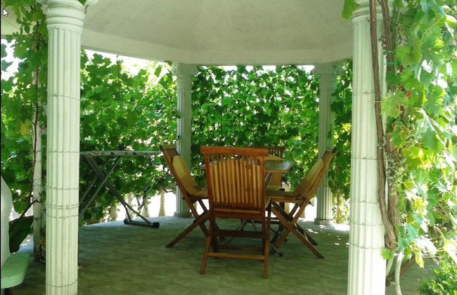 Vila Gerbera - Foto 39