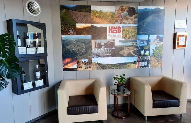 Xon's Platja ApartHotel - Foto 6