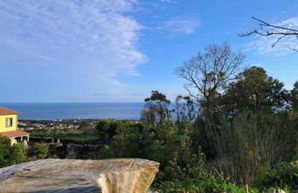 Biscoitos Top View - Photo 49