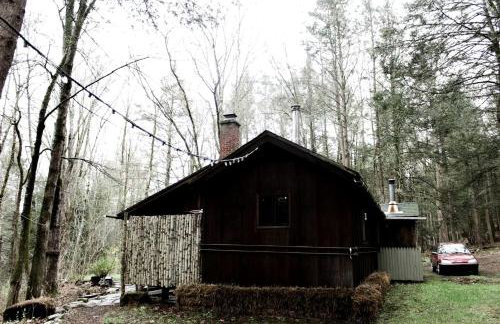 Rustic Cabin Retreat on the Ten Mile River in Narrowsburg, New York - Foto 22