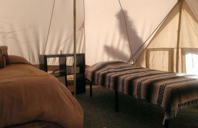 Grand Canyon Western Ranch - Foto 29