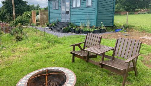 Shepherds Hut With Hot Tub, North Wales, Anglesey - Foto 3, Garden