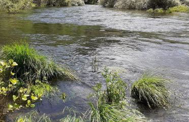 Quinta da Recochina - Photo 40