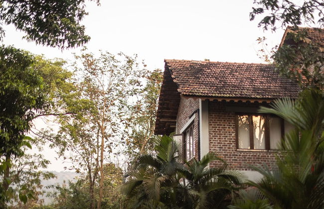 Amã Stays & Trails Asanji Wadi - Foto 34