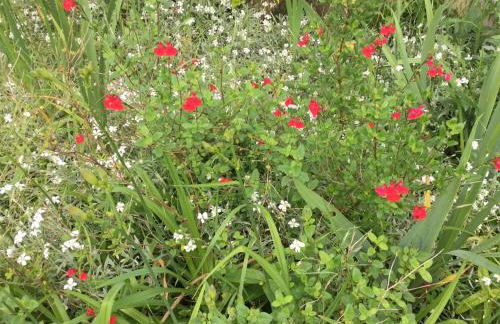 La Maisonnette de Senlis - Foto 35