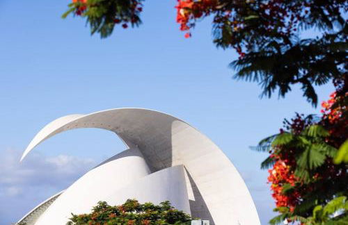 Sunnyland Ocean View Tenerife - Foto 42