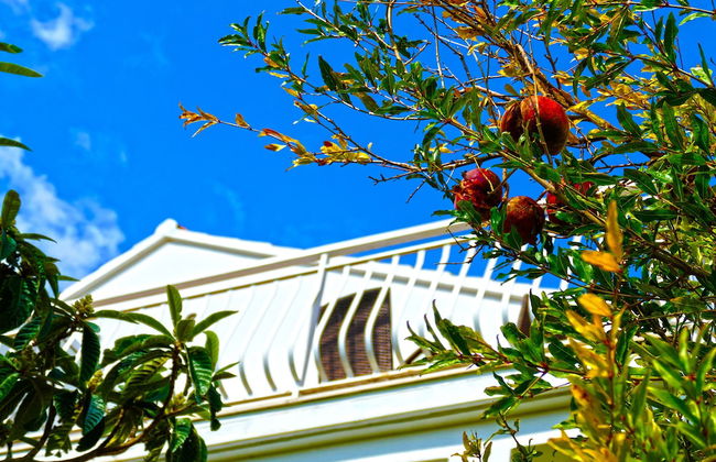 Apartments Martinovic - Photo 52