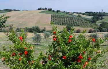 Il Giardino nella Valle - Foto 30