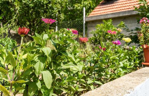 Marija Apartment - Photo 22