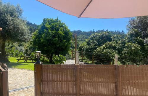 Quintinha da Cachadinha - Foto 9