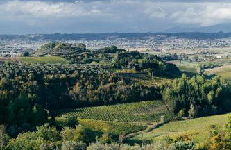 Agriturismo Bellavista - Foto 71