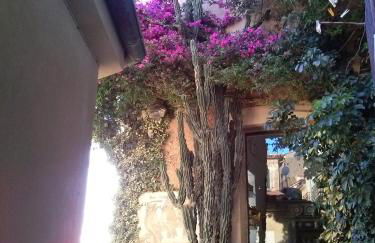 le case dei fiori - Foto 74