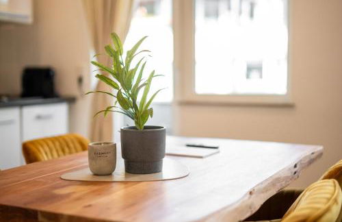 Steintorperle - 2 Zimmer im Herzen vom Viertel - Foto 14