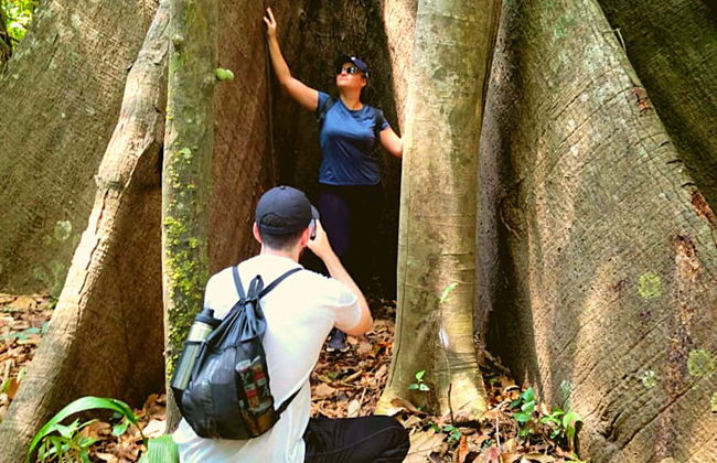 Trilha pela flora e fauna amazônica em Rio Branco - Foto 6