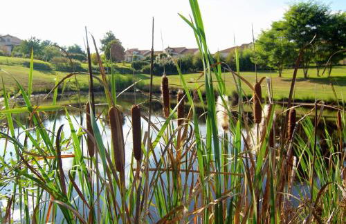 Cottage in Dordogne with Accessible Terrace - Foto 28
