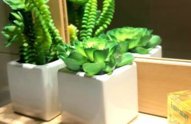 Beau Studio Prado Plage Parc Piscine Stade - Foto 6