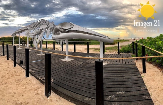 Imagen 21 Departamentos - Foto 39