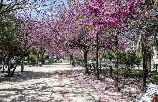 Apartamento Ultramar Cádiz - Foto 46