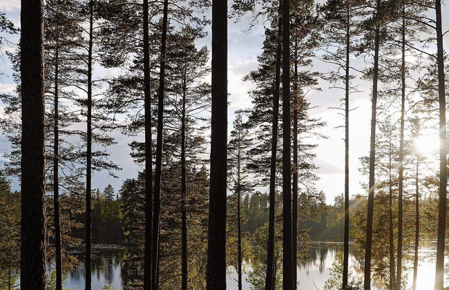 16 Person Holiday Home in Palsboda-by Traum - Foto 35