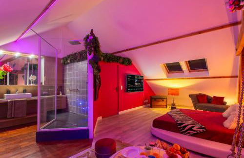 Suite Romantique 45m2-Amiens Centre-SPA & Parking - Foto 7